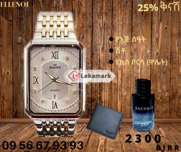 ⌚️Swish Mens Watch